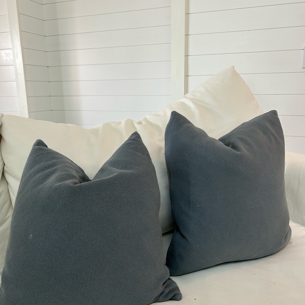 Pottery Barn•20x20 Blue Pillow Covers